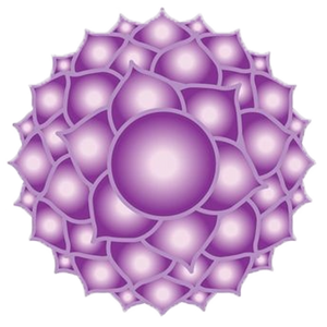 Crown Chakra - Sahasrara